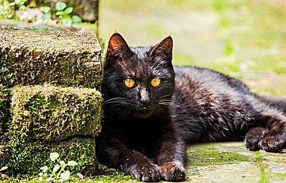 小岛秀夫：艾丽·范宁将在《死亡搁浅2》中扮演核心角色